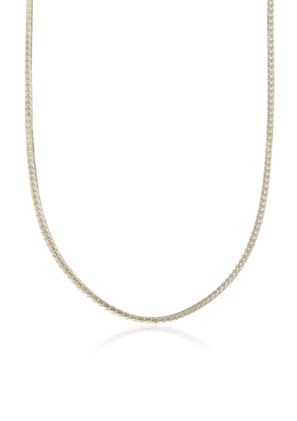 Silver Curbed Snake Chain Necklace
