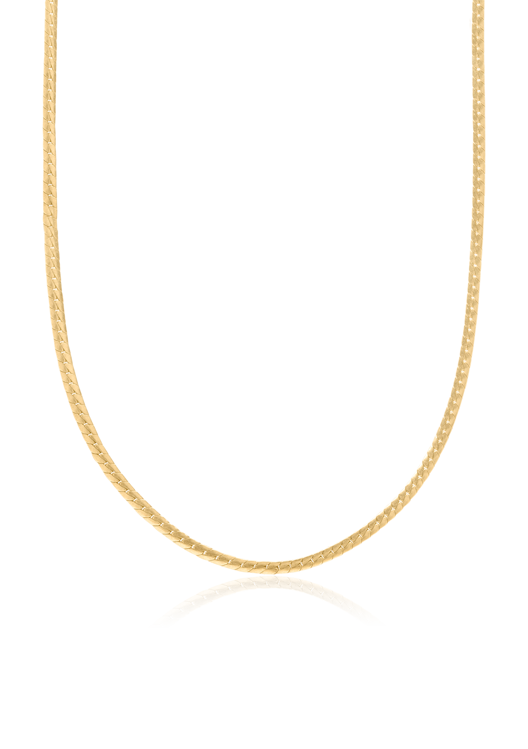 Curbed Snake Chain Necklace